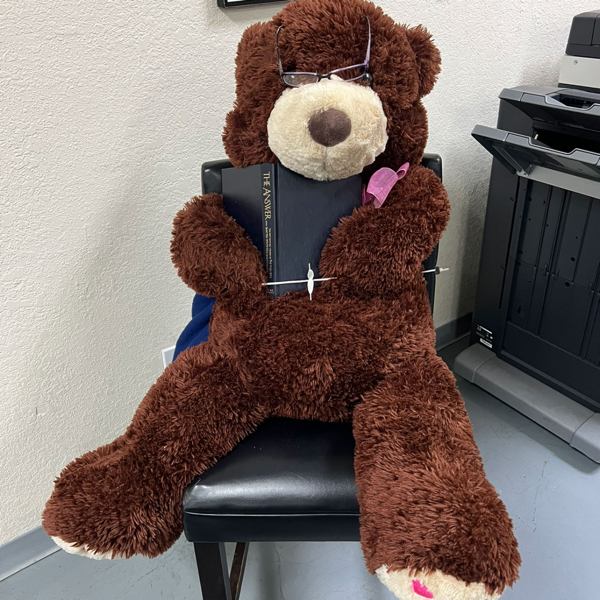 Teddy Bear with a Bible